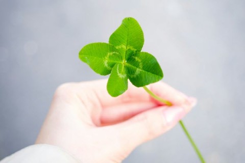 nichika-sakurai-DlZcFBu-L7s-unsplash-600